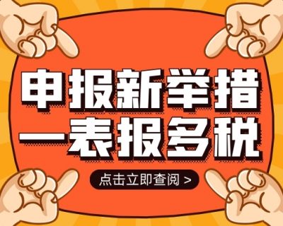 一表报多税！税务总局推出两项简并税费申报新举措